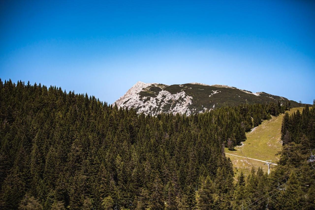 Apartments Zvoh, Krvavec, Ski-In, Ski-Out Cerklje na Gorenjskem Exteriör bild